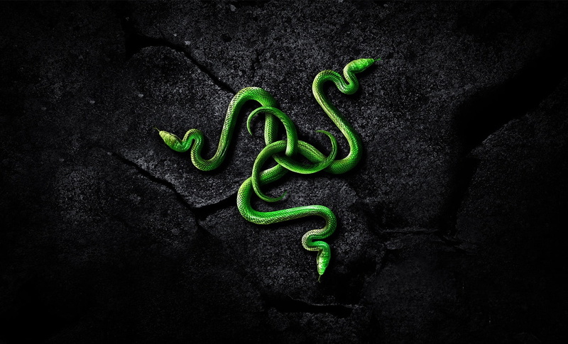 Hardware, curled up, green color, plant, nature, growth, snake, food and drink, indoors, spiral, still life, irl, leaf, Computers, studio shot, razer, pepper