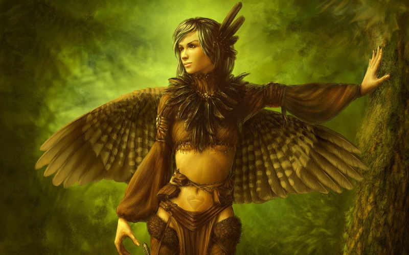 1080P, arts, tree, feathers, bird, forest, wings, Irl