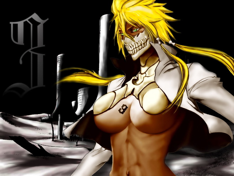 soft, art, harribel, bleach, 480P, hd, shading, anime, x, Tia Harribel, tia