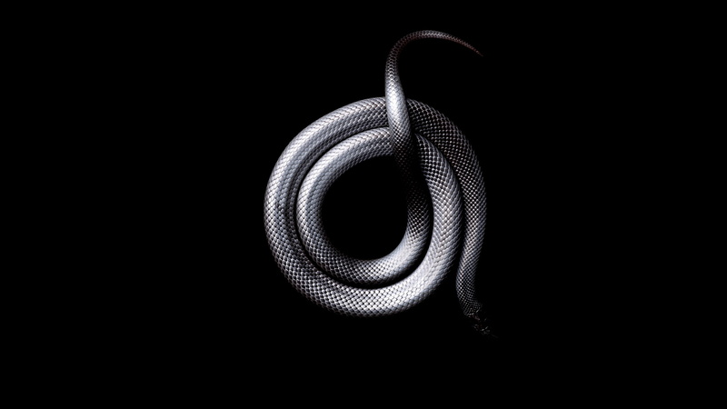 animals, black, snake, 1080P, Dark