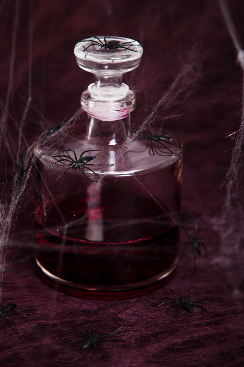 no people, glass container, bloody, nature, purple, glass, studio shot, spider, bottle, black, decoration, science, blood, creepy, colored background, inside