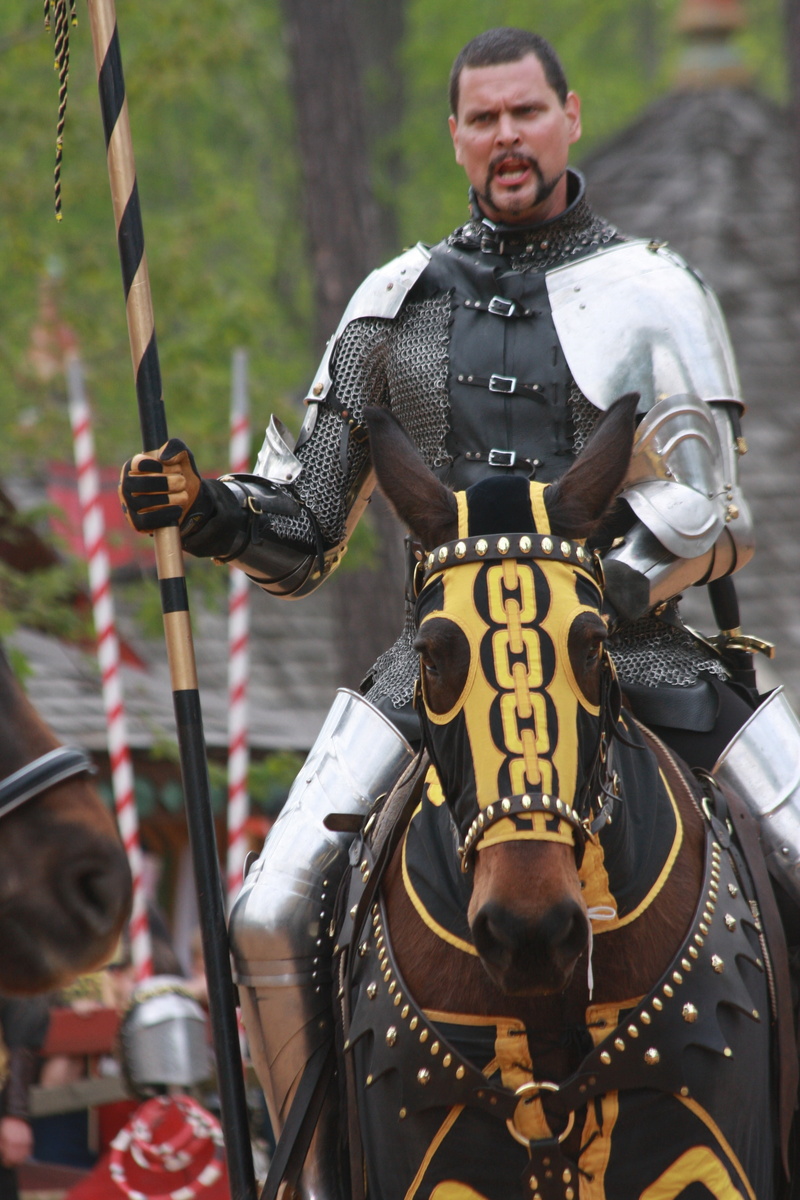 tree, fair, real people, outdoors, front view, suit of armor, performance, focus on foreground, swords, 4K, amour, joust, three quarter length, day, horse
