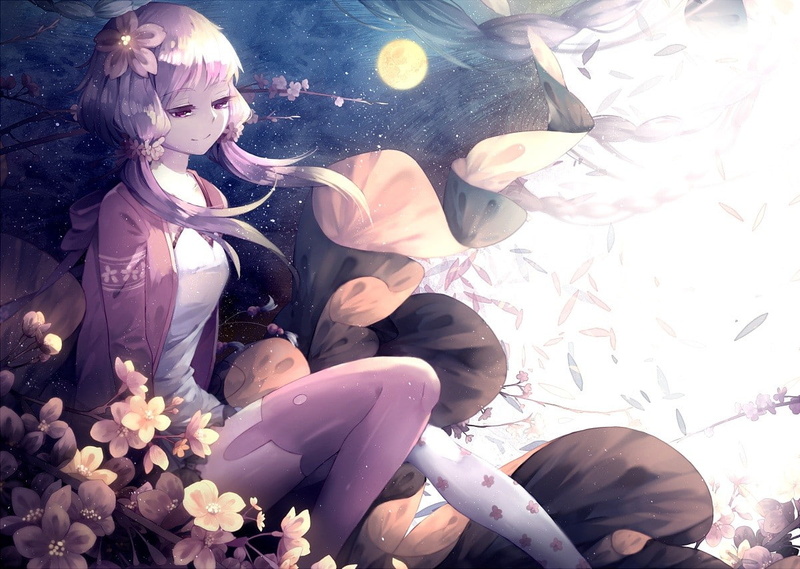 480P, Vocaloid, Yuzuki Yukari