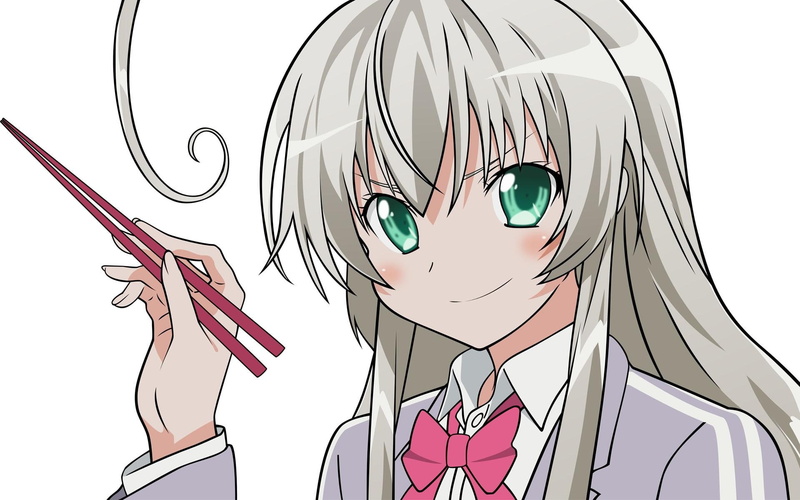 no people, white hair, smirk, haiyore! nyaruko-san, metal, representation, multi colored, close-up, communication, art and craft, indoors, human representation