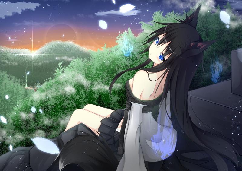 clouds, black hair, anime girls, sunset, blue eyes, 720P, long hair, fox girl, forest, petals, trees, skirt, blushing