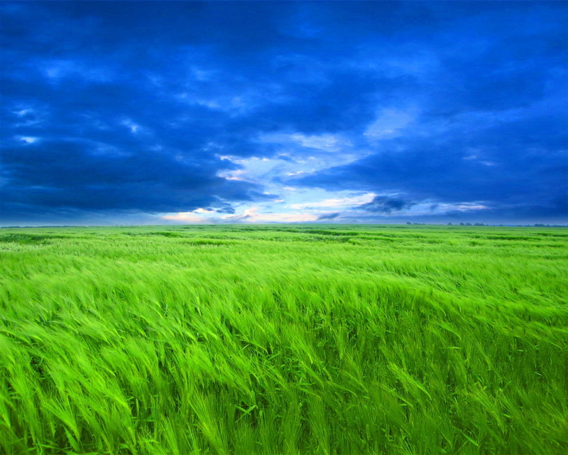 hd, grassmaybe, colorful, x, 720P, nature, op, girlfriend, fields, odd, art, beautiful, field