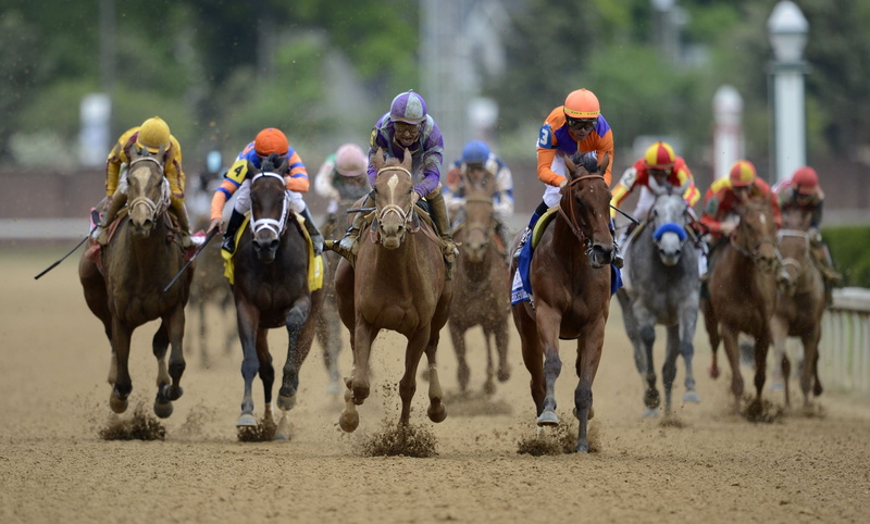 motion, 1080P, animal Sport, flat Racing, sport, domestic, kentucky derby odds, competitive Sport, horseback riding, domestic animals, racehorse, thoroughbred Horse