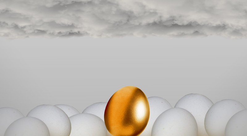 surprise, 2K, large group of objects, individuality, studio shot, dinner, healthy, gold, food, no people, in a row, nest egg, nature, growing, animal