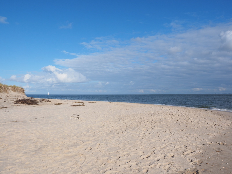 4K, day, sea, sand, holiday, land, tranquil scene, hörnum odde, sylt, horizon over water, scenics - nature, horizon, water, cloud - sky, nature, beauty in nature