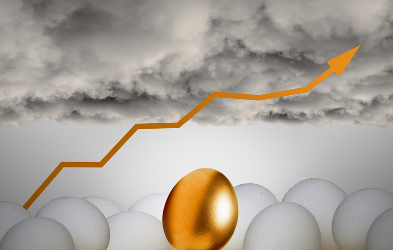 individuality, white, hen, eggs, chance, sky, investments, healthy, savings, success, exception, storm, difference, nature, achievement, similarity, golden