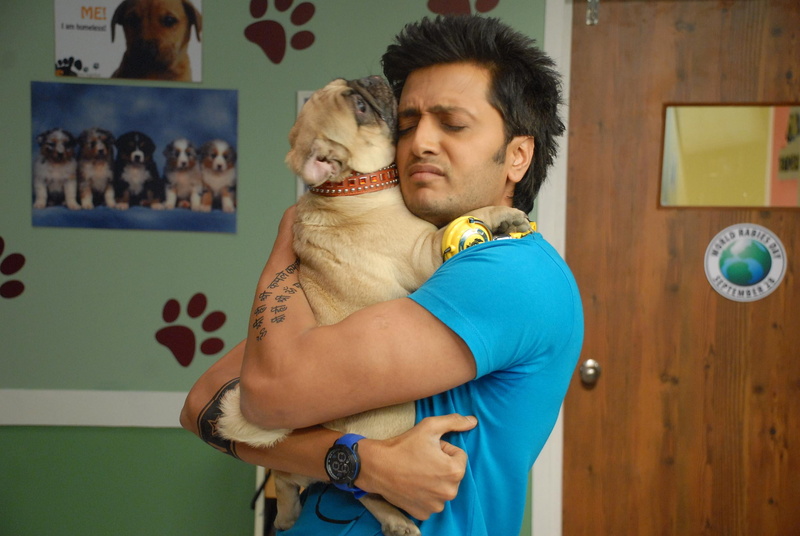 togetherness, deshmukh, Bollywood Movies, 2012, men, two people, embracing, kool, ritesh, standing, couple - relationship, love, Movies, males, people