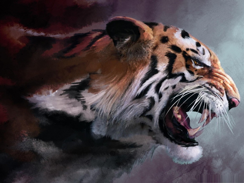 wild life, growling, animals, paint, tiger, painting, angry, 1080P