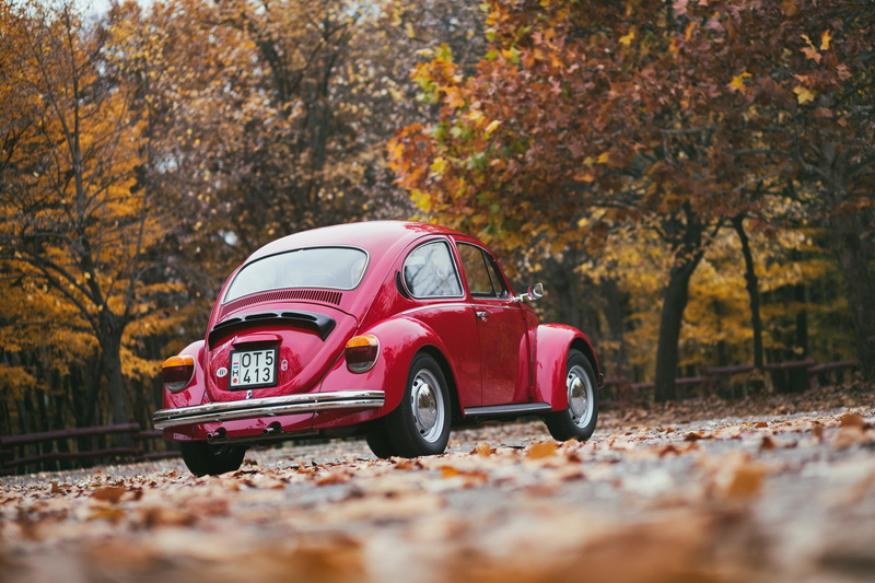 mode of transportation, leaf, sedan, tree, transportation, land Vehicle, rear view, small, coupe, volkswagen, germany, looking At View, chrome, sports Car
