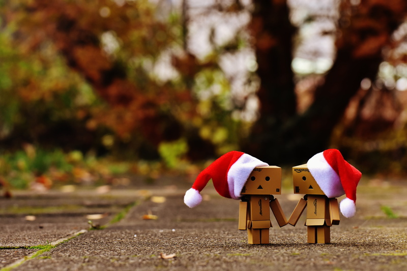 send, robot, no people, outdoors, plant, plant part, santa hat, gifts, love, valentines day, made, wood - Material, change, sweet, tree, festival, christmas time