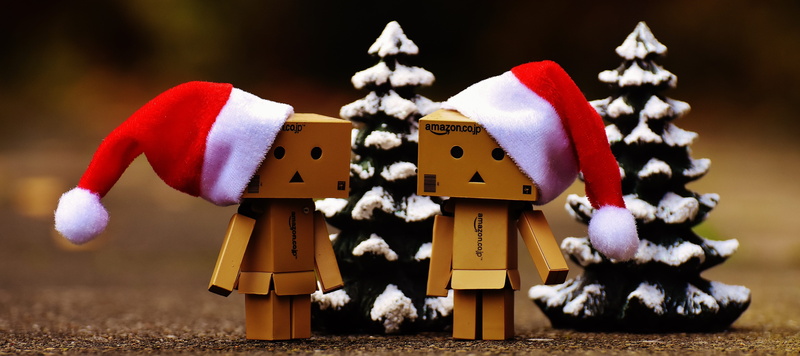 model, decoration, studio shot, two, santa hat, wood - material, connectedness, 5K, funny, hat, christmas tree, christmas ornament, festival, togetherness