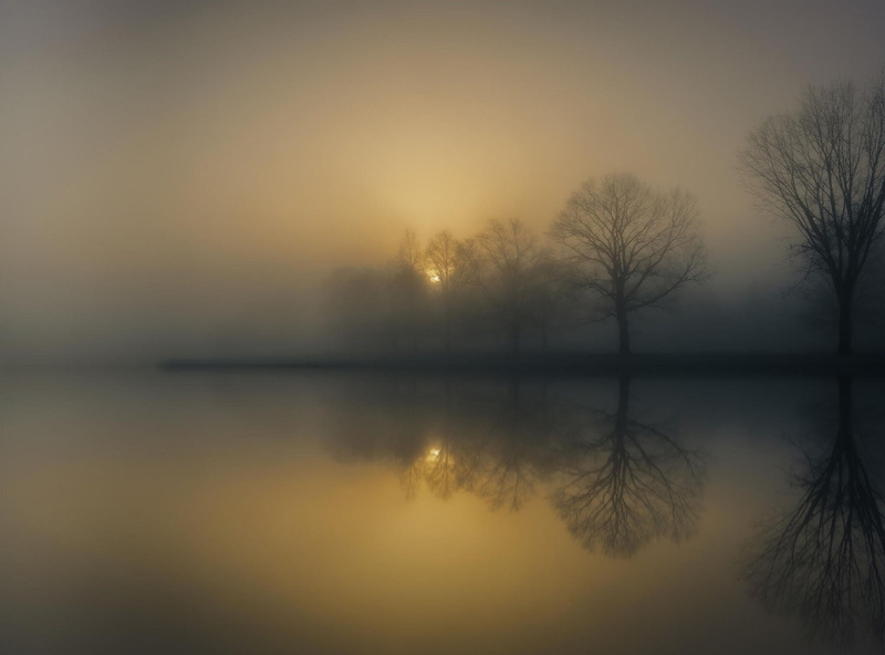 morning, sunlight, calm, photography, mist, lake, 720P, nature, landscape, trees, sunrise, calm waters, reflection