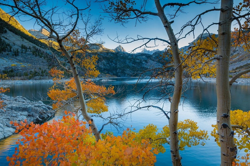 mountains, fall, scenics - nature, autumn, tranquility, outdoors, branch, day, photography, nature, California, change, non-urban scene, beauty in nature