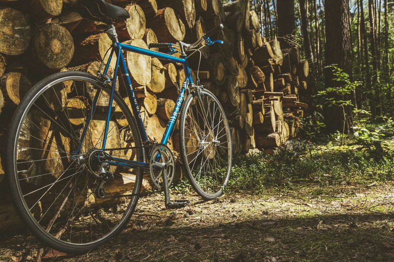 firewoods, hipster, growth, fixed gear, oldtimer, nature, sunlight, land, brakes, racing, 4K, tree, speed, high speed, design, motion, transportation