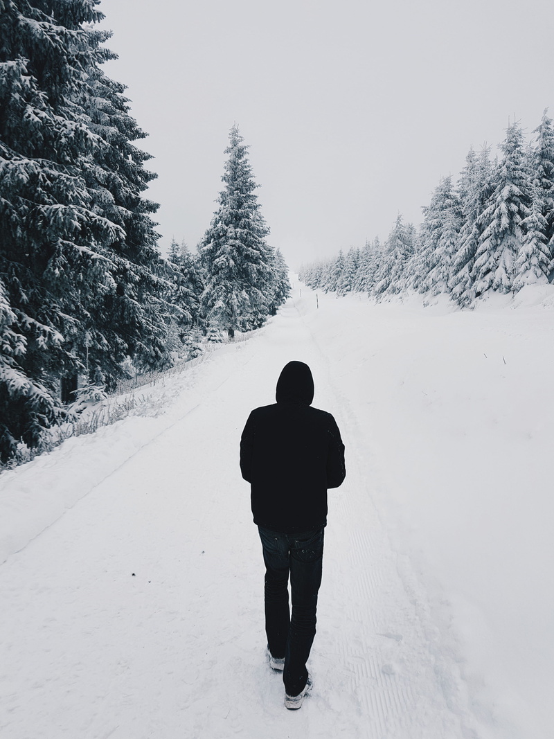 woods, trees, one person, alone, plant, white color, real people, extreme weather, clothing, snowy, tree, near, icy, sky, hiking, scenic, outdoors, covered