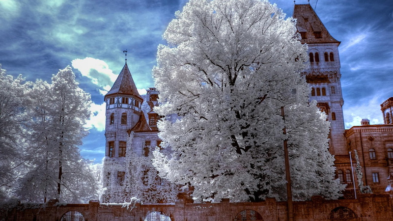 castle, architecture, 1080P, Schloss Faber-Castell, Nuremberg, trees, Germany