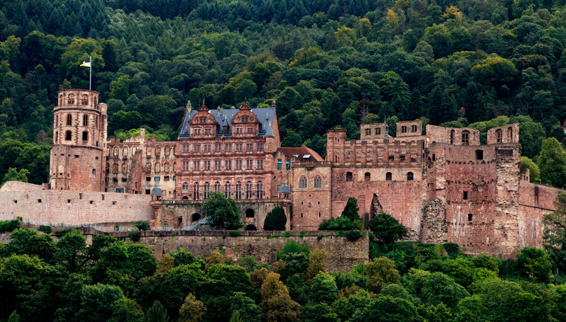 built structure, day, history, historical city, lush foliage, surrounded, old town, green color, trees, plant, no people, brown, heidelberger schloss, baden württemberg
