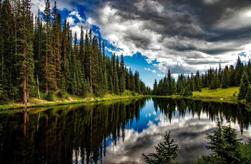 irene, Lake, Country, Rural, beauty in nature, idyllic, plant, Water, Reflections, Forest, 1080P, Wilderness, non-urban scene, Trees, Beautiful, Colorado