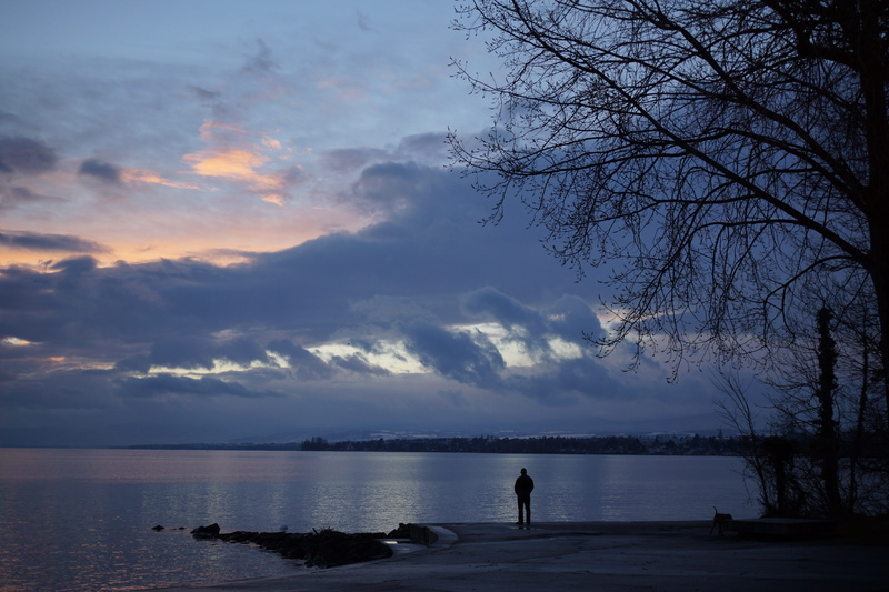 Lake Geneva, sky, one person, beauty in nature, scenics, outdoors, tree, beach, person, real people, switzerland, cloud - sky, leisure activity, silhouette
