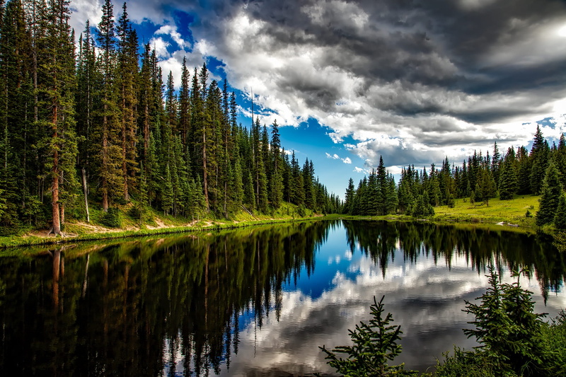cloud - sky, pine woodland, hdr, tranquil scene, lake irene, sky, outdoors, scenic, country, no people, trees, nature, plant, forest, wilderness, beauty in nature