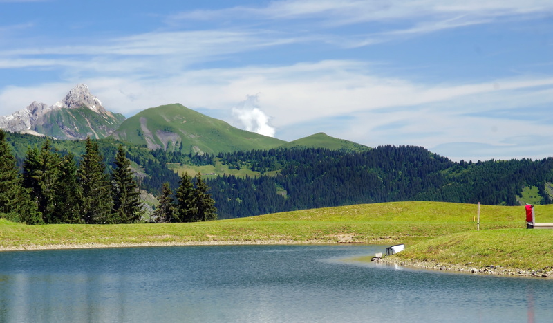 immensity, scenics - nature, tranquil Scene, no People, grass, 4K, landscape, France, Lake, solitude, hill, outdoors, green Color, day, plant, forest