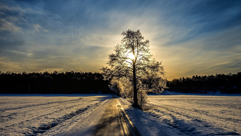 scenery, scenic, asphalt, outdoor, summer, land, tree, covering, scene, sunset, natural, forest, beauty in nature, spring, sky, cloud, tranquility, sunny