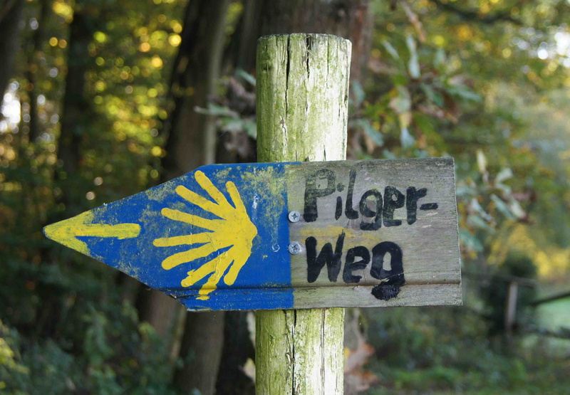 text, outdoors, focus on foreground, close-up, day, yellow, tree trunk, migratory character, land, nature, trunk, signpost, wooden post, make a pilgrimage