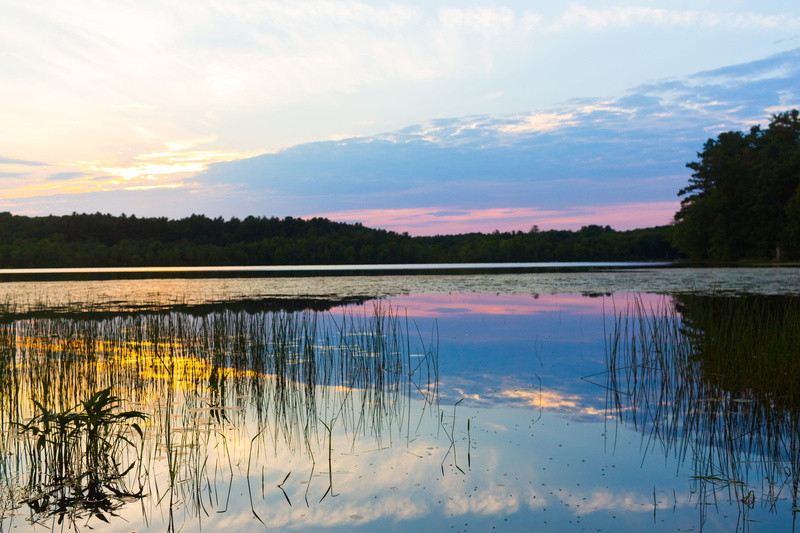 trees, introspection, no people, water, pelham, plant, dusk, pond, clouds, growth, sun, idyllic, scenics - nature, reflect, nature, mirror, forest, outdoors