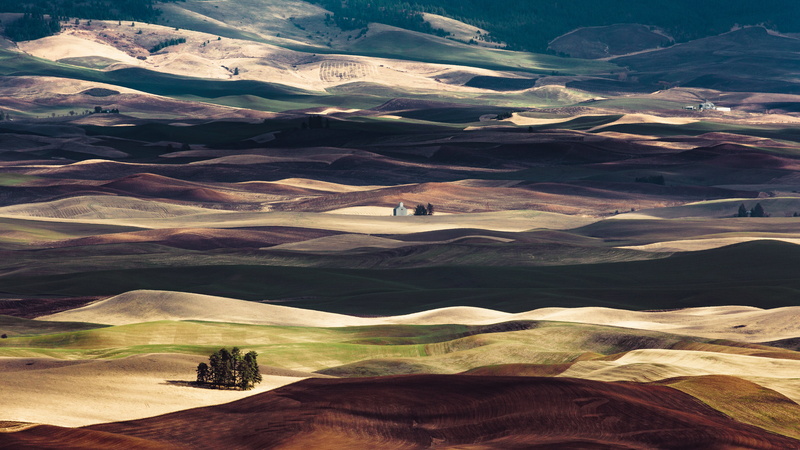 dessert, Canon EF, Land, shadows, trees, farming, scenics, green, Palouse, nature, hill, US, USM, farm, Steptoe Butte, 5K, Garfield  Washington, landscape