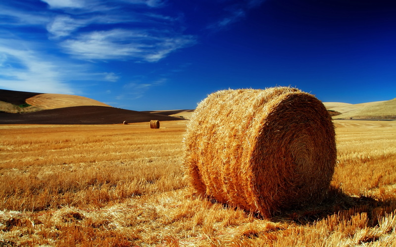 the, palouse, landscape, nature, 1080P, hd, fields