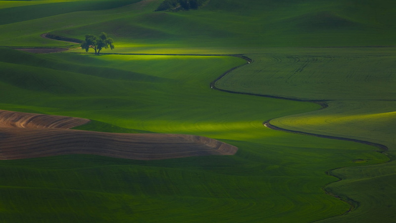 green, hill, outdoors, meadow, golf course, tranquility, day, rolling Landscape, monti Sibillini, italy, norcia, landscape, golf, rural Scene, field, plain
