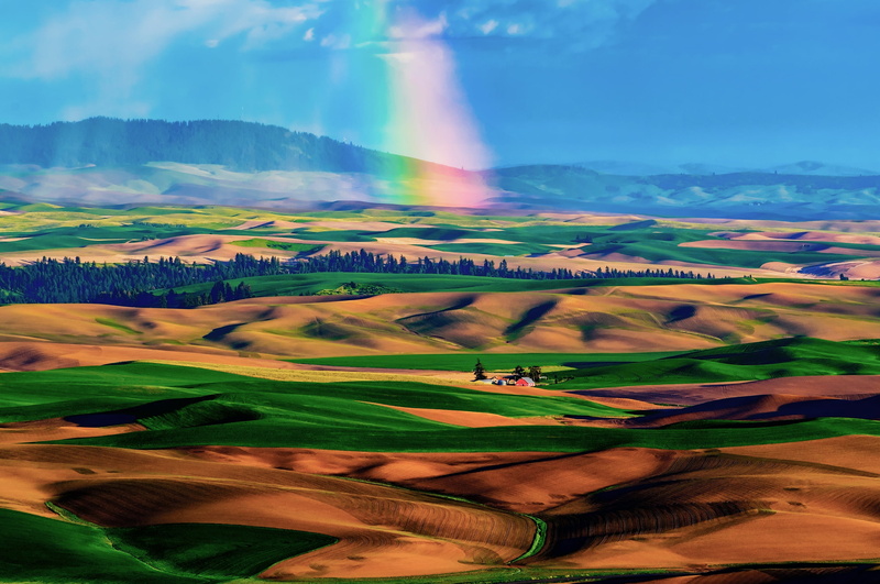 plowed Field, meadow, farm, rainbow, landscape, day, tranquil scene, palouse, land, plant, covered, fields, color Image, tree, hills, cloud - Sky, idyllic