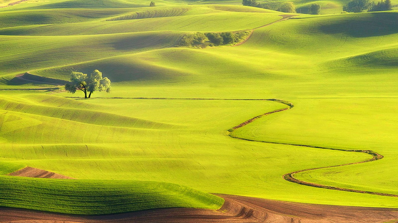 day, tranquility, hill, green, landscape, beauty in nature, field, non-urban scene, 1080P, environment, plant, grassland, land, meadow, no people, nature
