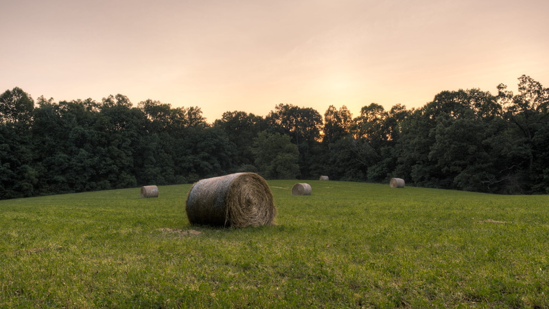 green color, landscape, sky, kentucky, land, farm field, hay, grass, dim light, environment, no people, rolled up, plant, nature, united states, tranquility