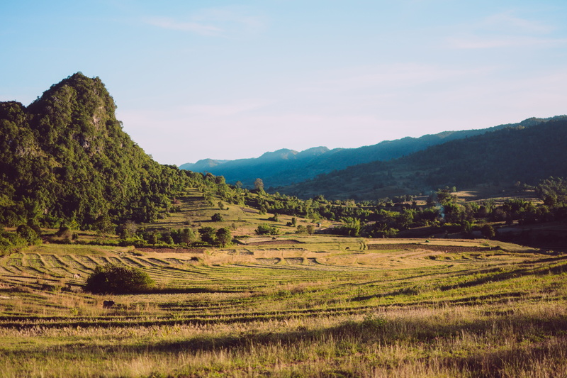 outdoors, travel, landscape, tree, field, shan state, mountain, farm, rural farming, agriculture, scenics - nature, environment, beauty in nature, tranquil scene