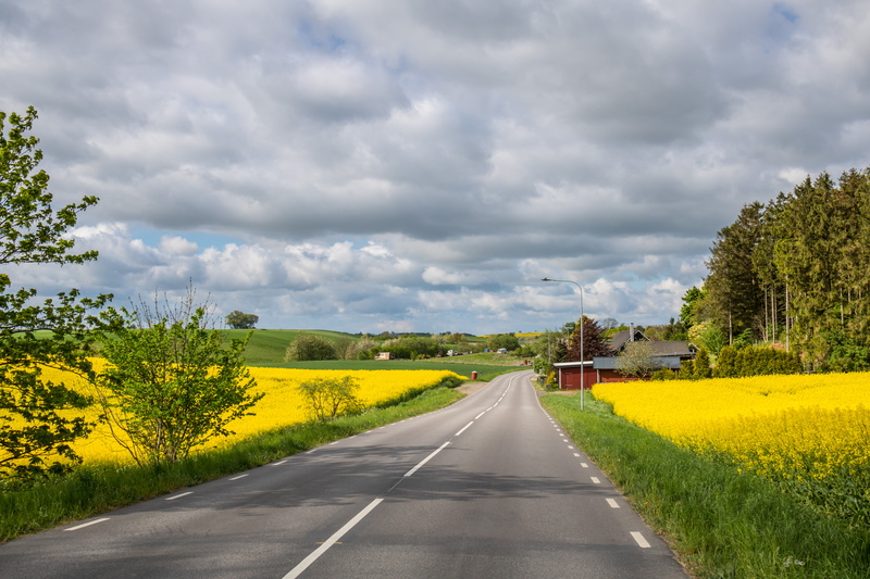 yellow fields, agriculture, lens, field, nature, 5K, model, rape seed, Raps, ƒ / 10, canola, mm, farm, rural Scene, city, canon eos, state, geo, 760d