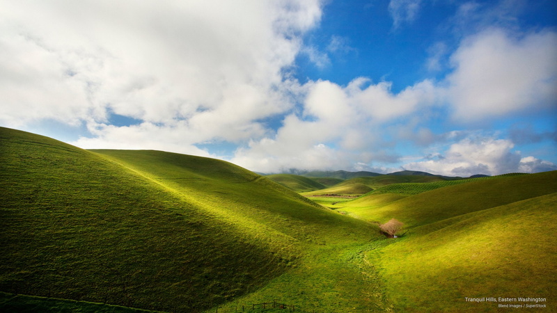 Spring/Summer, washington, hills, tranquil, eastern, 2K