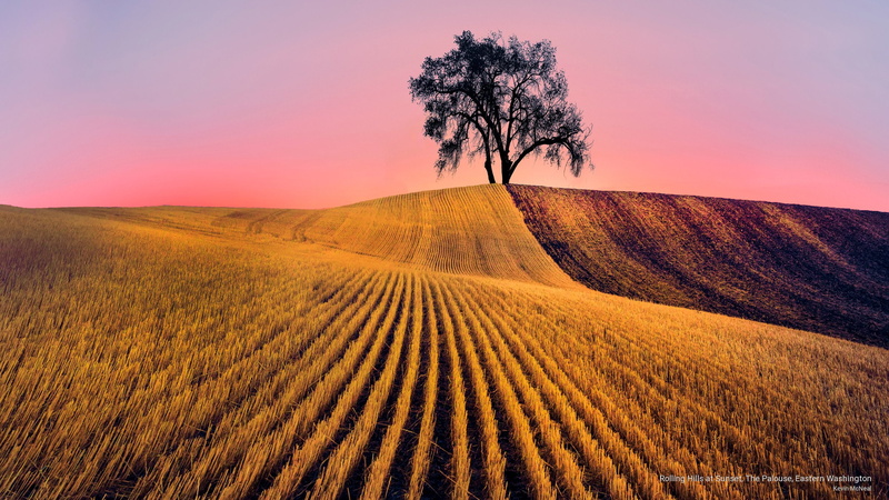rolling, sunset, eastern, palouse, 2K, hills, Nature, washington