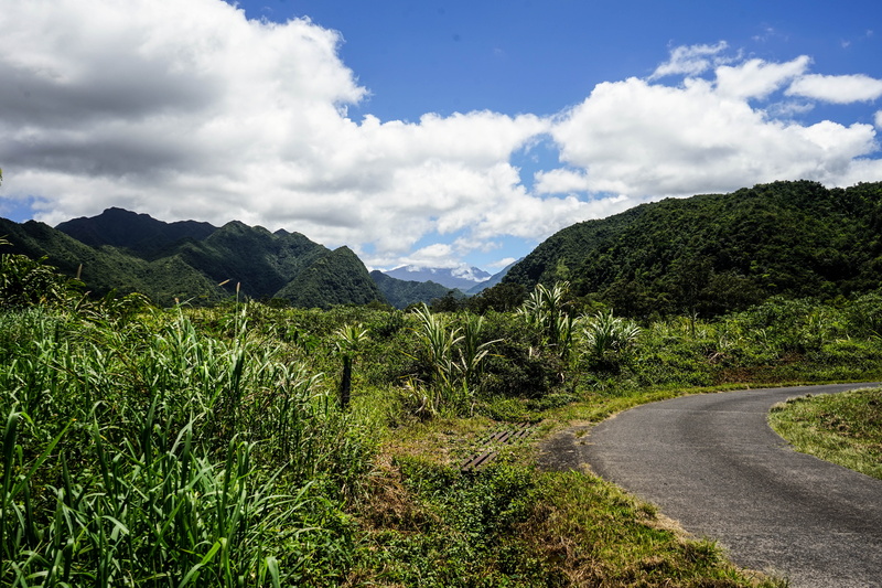 open, wide, the way forward, plant, growth, environment, trek, transportation, no people, cloud - sky, tropical, sky, vegetation, landscape, clouds, beauty in nature