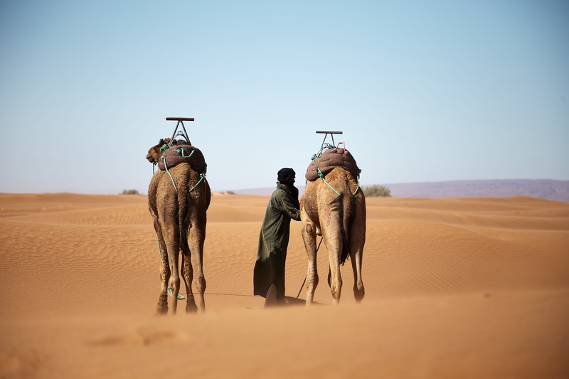 traditional clothing, two, land, desert, man, arid climate, people, person, transportation, scenics - nature, sand, outdoors, walking, nature, dune, domestic animals
