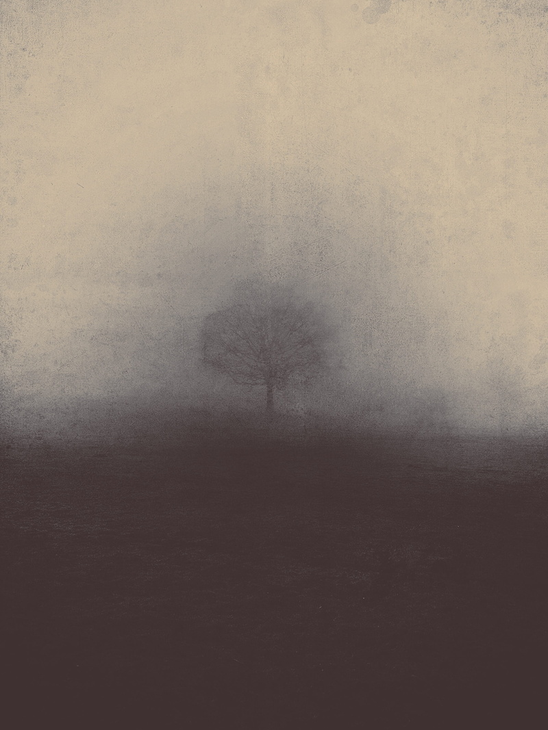 tranquil scene, morning, non-urban scene, nature, sky, day, land, backgrounds, tranquility, nature haze, mystic, 2K, wall - building feature, scary, beauty in nature