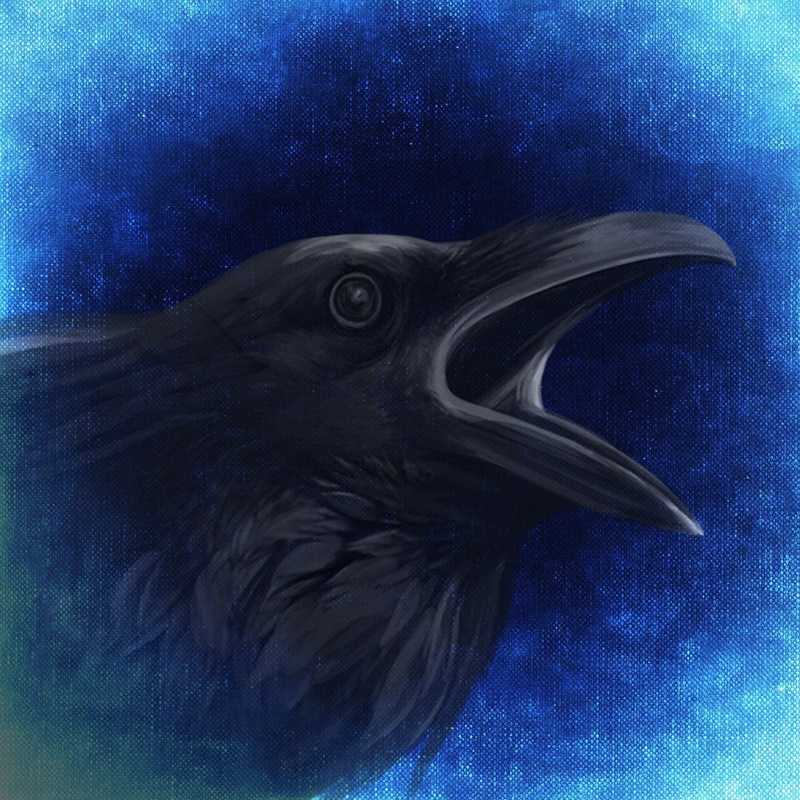 creepy, raven, undersea, marine, sea, animal wildlife, mood, 1080P, animals in the wild, darkness, scary, close-up, blue, animal, crow, mystical, moonlight
