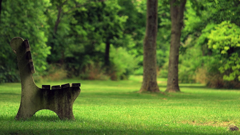 brown, stone, grass, wooden, photography, bench, 1080P, park, tree, outdoor, 1920x1080