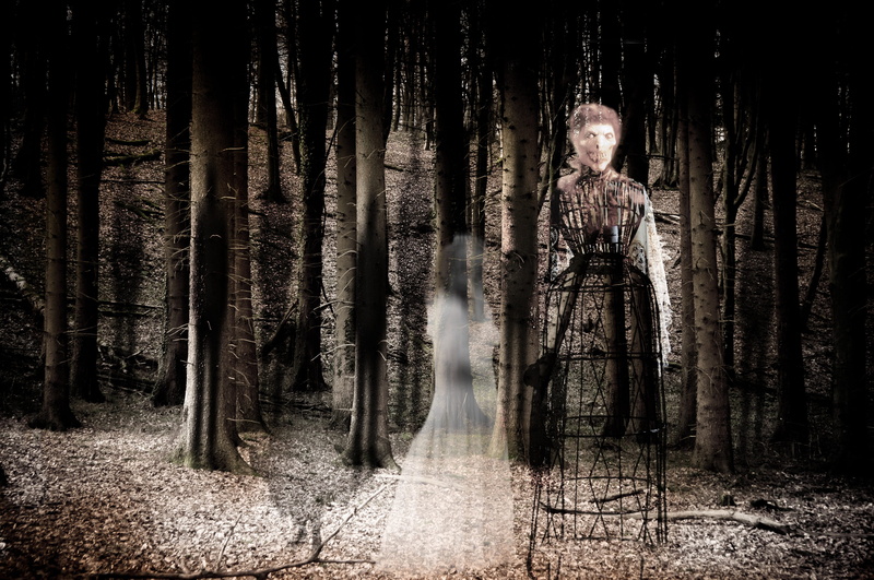 forest spirits, adults only, woodland, forest, tree trunk, standing, young men, one person, mystical, non-urban scene, plant, composing, woman, adult, two