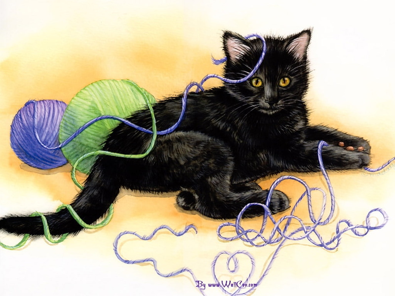 black, fun, hd, cat, playing, mischief, learning, knit, string, 480P, animals, yarn, unravel, kitten