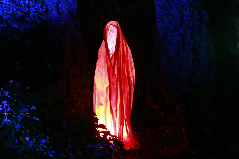 red, wearing, blue, light effect, westphalia park, leaves, spooky, tree, beauty in nature, 5K, cloth, figure, plant, night, nature, no people, ghost, middle